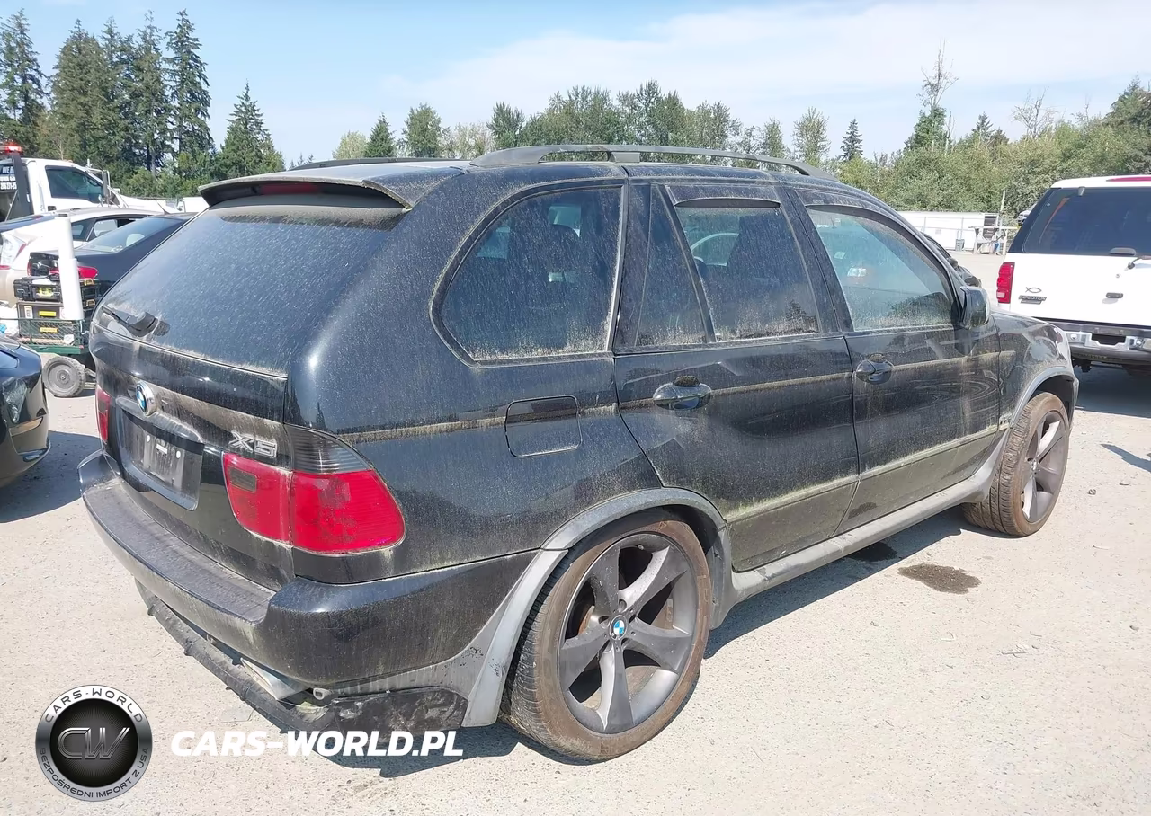 2002 BMW X5 4.6Is VIN:5UXFB93542LN78621 - 4