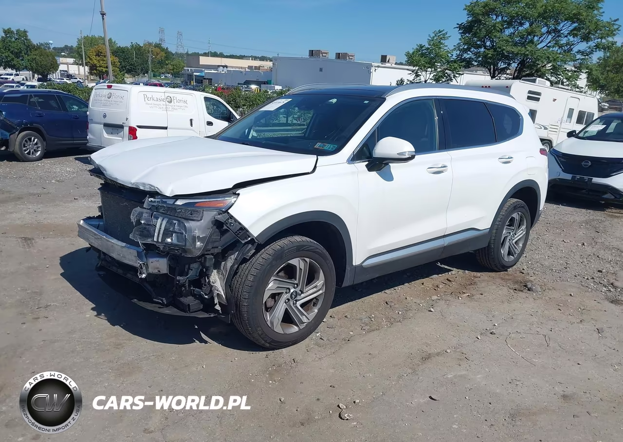 2021 Hyundai Santa Fe Sel VIN:5NMS3DAJ1MH320691 - 2