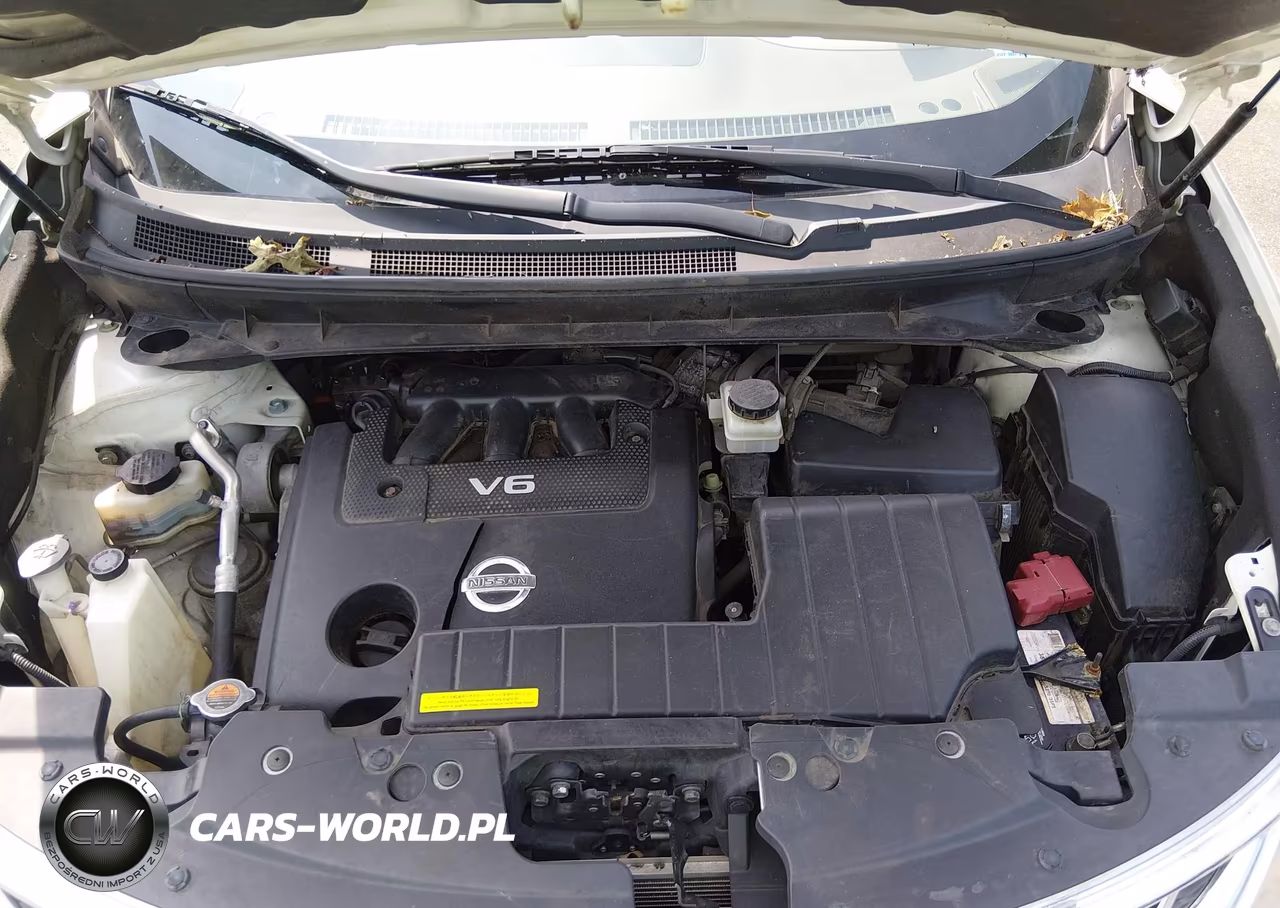 2014 Nissan Murano S-Sl-Sv-Le VIN:JN8AZ1MW2EW517761 - 10