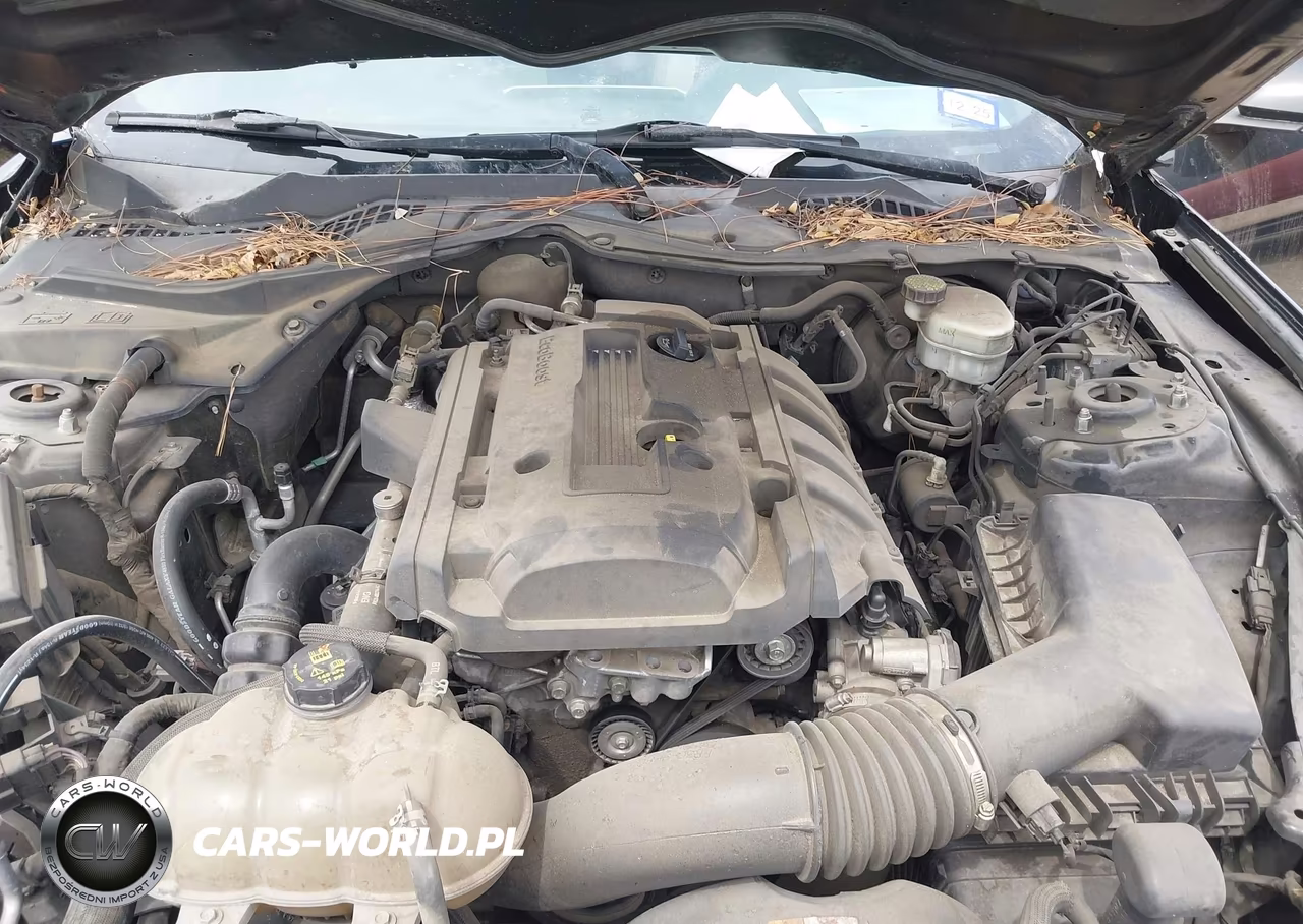 2015 Ford Mustang Ecoboost VIN:1FA6P8TH2F5318869 - 10