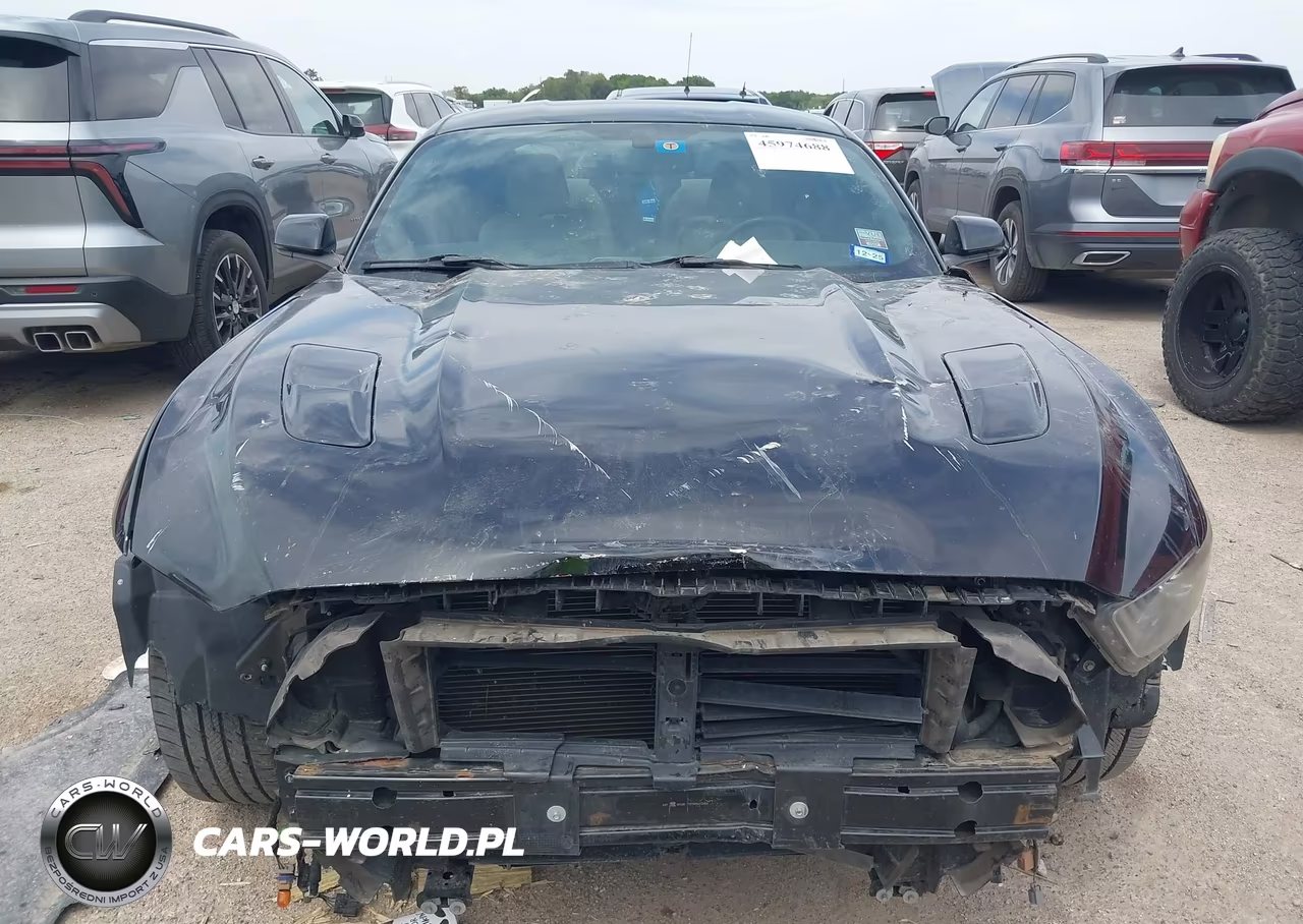 2015 Ford Mustang Ecoboost VIN:1FA6P8TH2F5318869 - 12