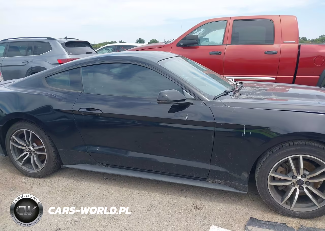 2015 Ford Mustang Ecoboost VIN:1FA6P8TH2F5318869 - 13