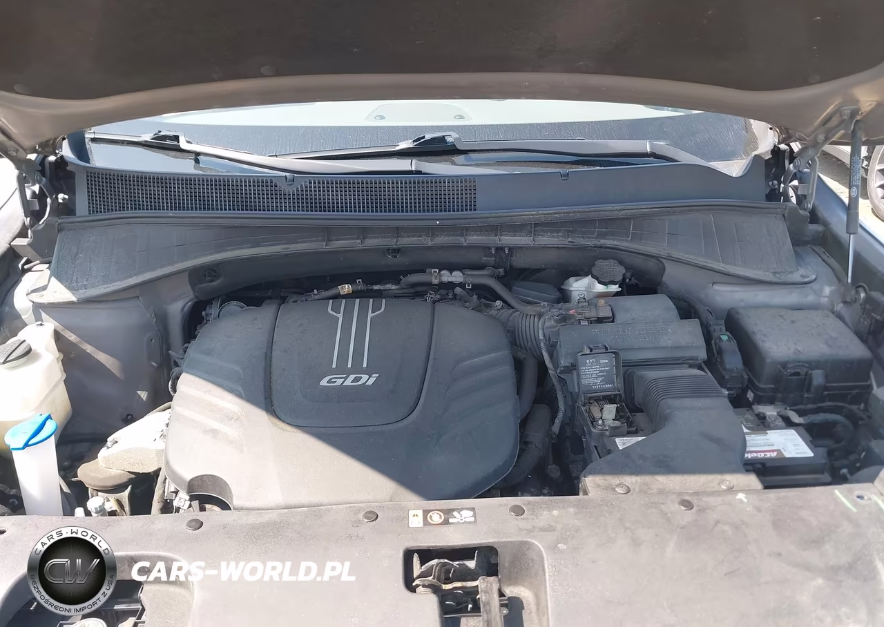 2017 Kia Sorento 3.3L Sx VIN:5XYPKDA57HG321517 - 10