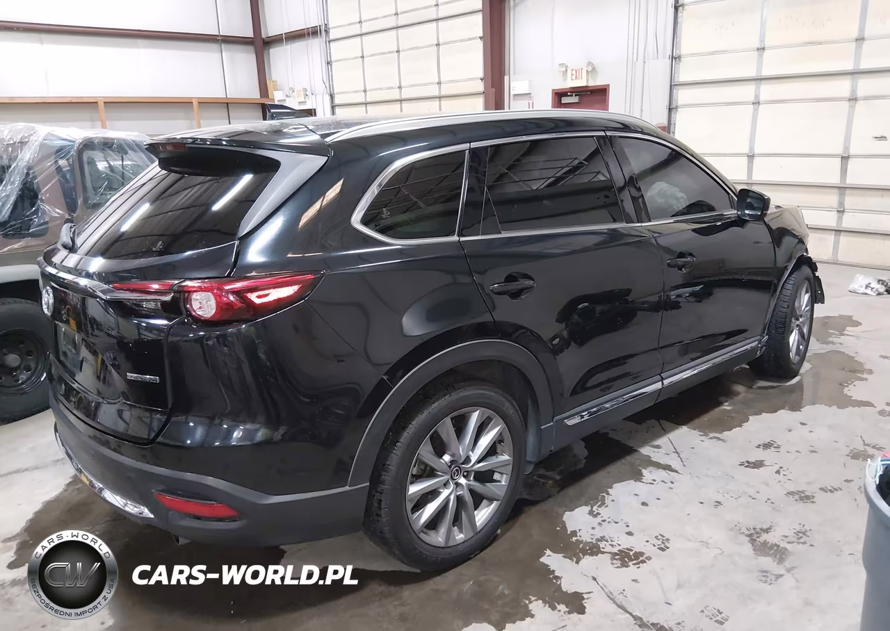 2020 Mazda Cx-9 Grand Touring VIN:JM3TCBDY0L0418859 - 4