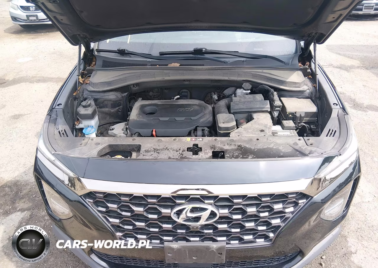 2019 Hyundai Santa Fe Ultimate VIN:5NMS5CAD0KH042085 - 10