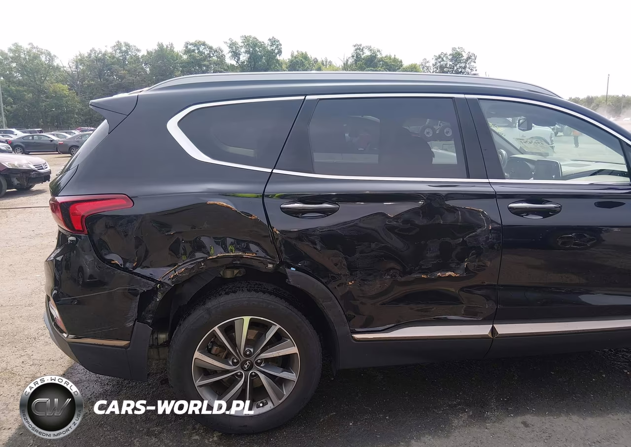 2019 Hyundai Santa Fe Ultimate VIN:5NMS5CAD0KH042085 - 6