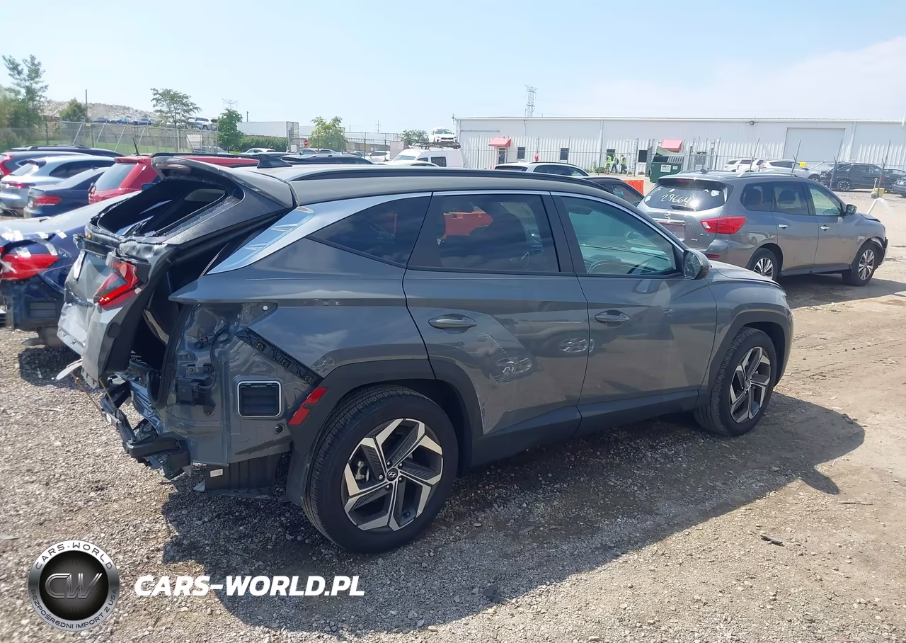 2024 Hyundai Tucson Sel VIN:5NMJB3DE8RH420902 - 13
