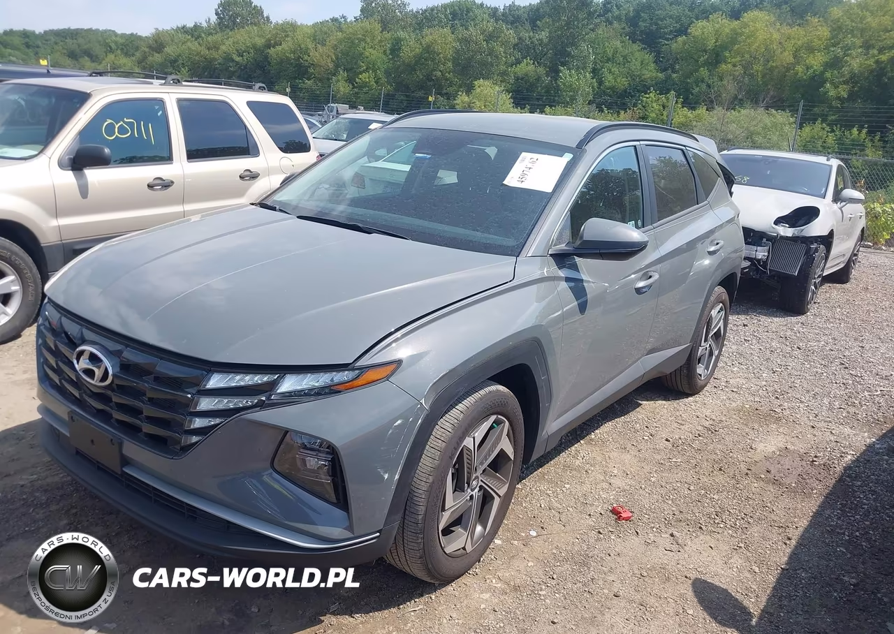 2024 Hyundai Tucson Sel VIN:5NMJB3DE8RH420902 - 2
