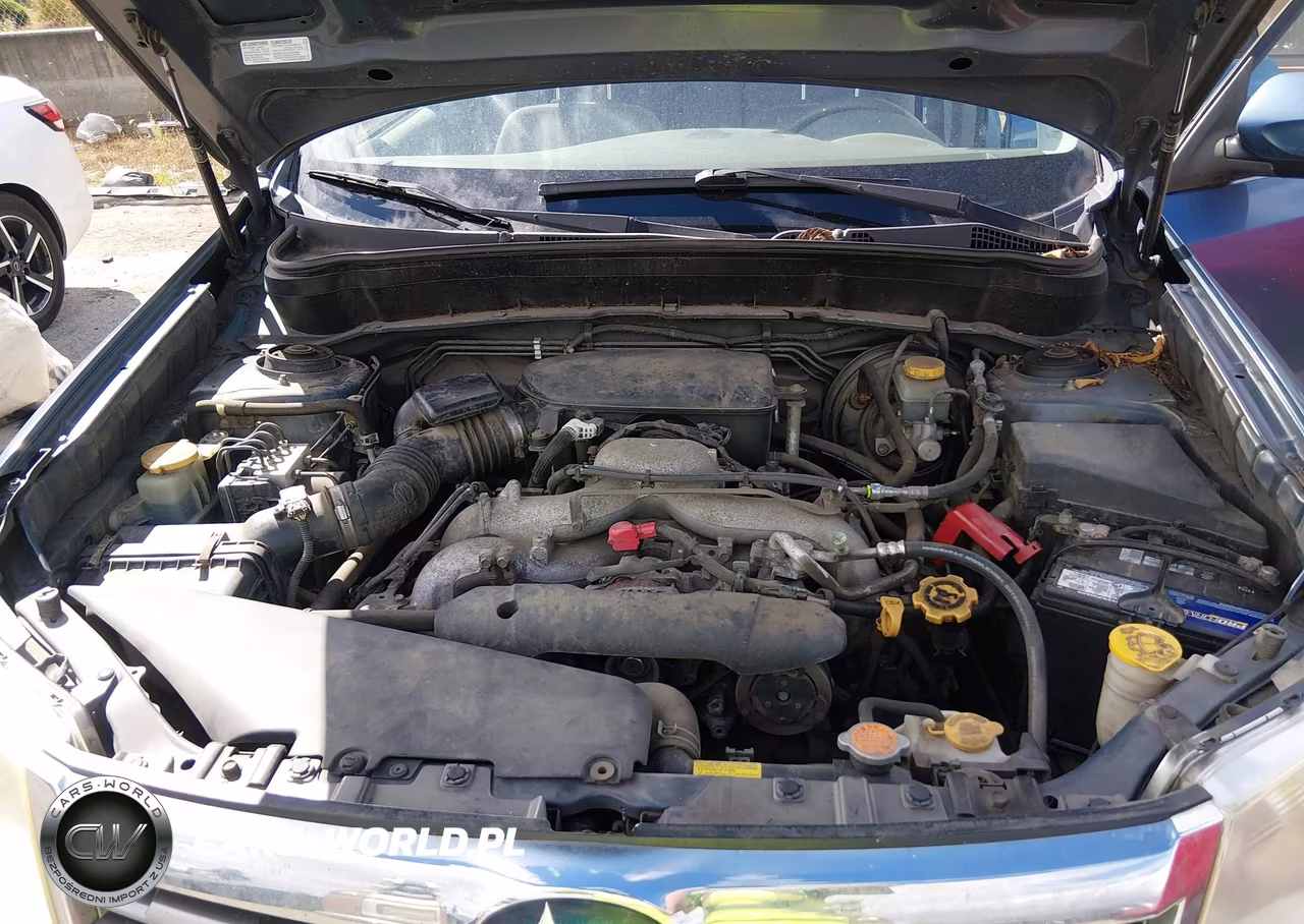 2010 Subaru Forester 2.5X Premium VIN:JF2SH6CC4AH785900 - 10