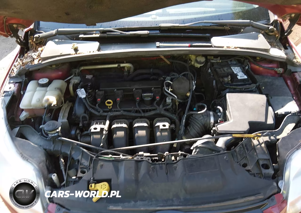 2014 Ford Focus Se VIN:1FADP3F2XEL241406 - 10