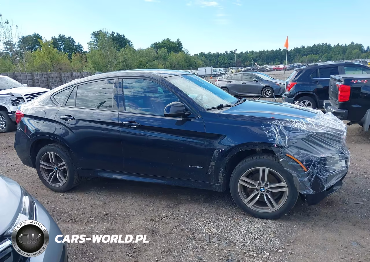 2016 BMW X6 xDrive35I VIN:5UXKU2C57G0N84079 - 13
