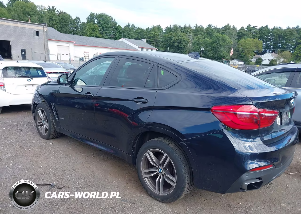 2016 BMW X6 xDrive35I VIN:5UXKU2C57G0N84079 - 14