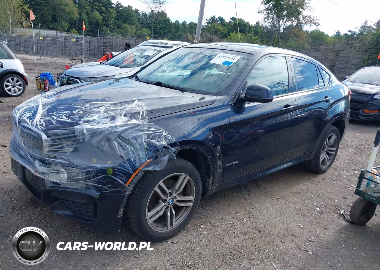 2016 BMW X6 xDrive35I VIN:5UXKU2C57G0N84079 - 2