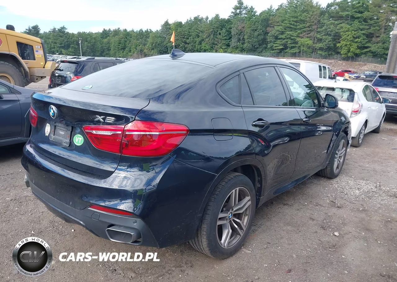 2016 BMW X6 xDrive35I VIN:5UXKU2C57G0N84079 - 4