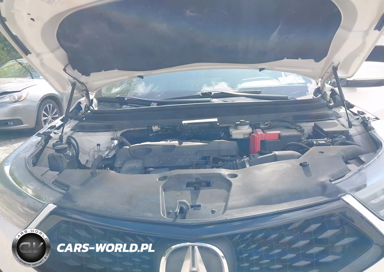 2019 Acura Rdx A-Spec Package VIN:5J8TC2H66KL021706 - 10