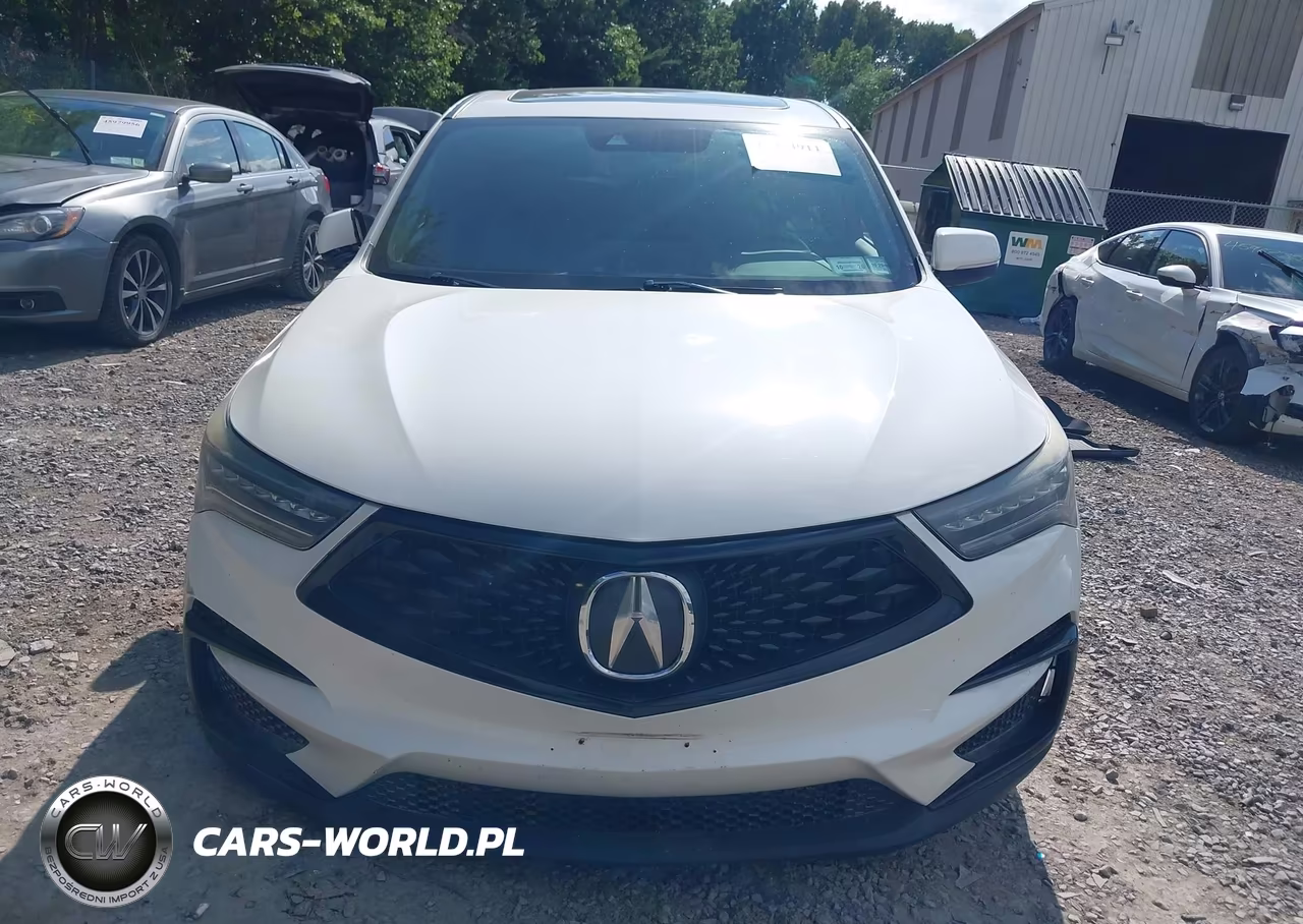 2019 Acura Rdx A-Spec Package VIN:5J8TC2H66KL021706 - 12