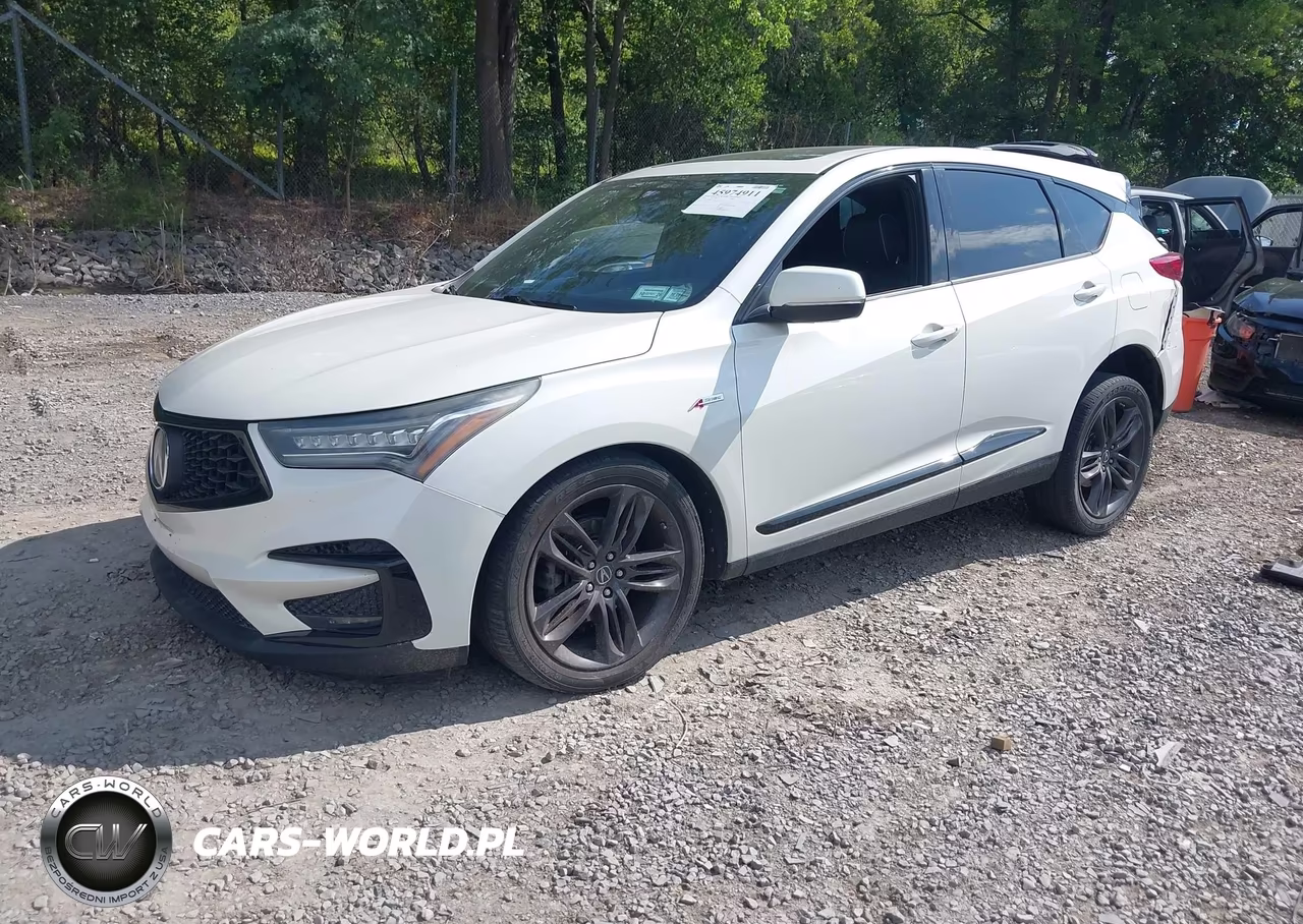 2019 Acura Rdx A-Spec Package VIN:5J8TC2H66KL021706 - 2