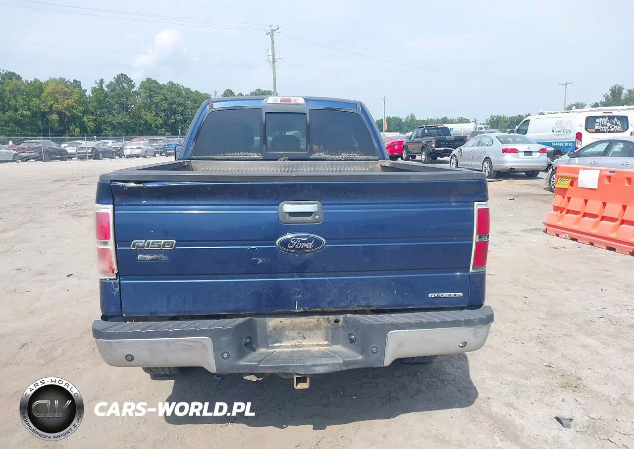 2012 Ford F-150 Xlt VIN:1FTFX1EF5CFC32684 - 16