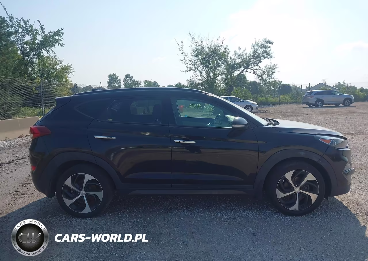 2016 Hyundai Tucson Limited VIN:KM8J33A21GU149271 - 13