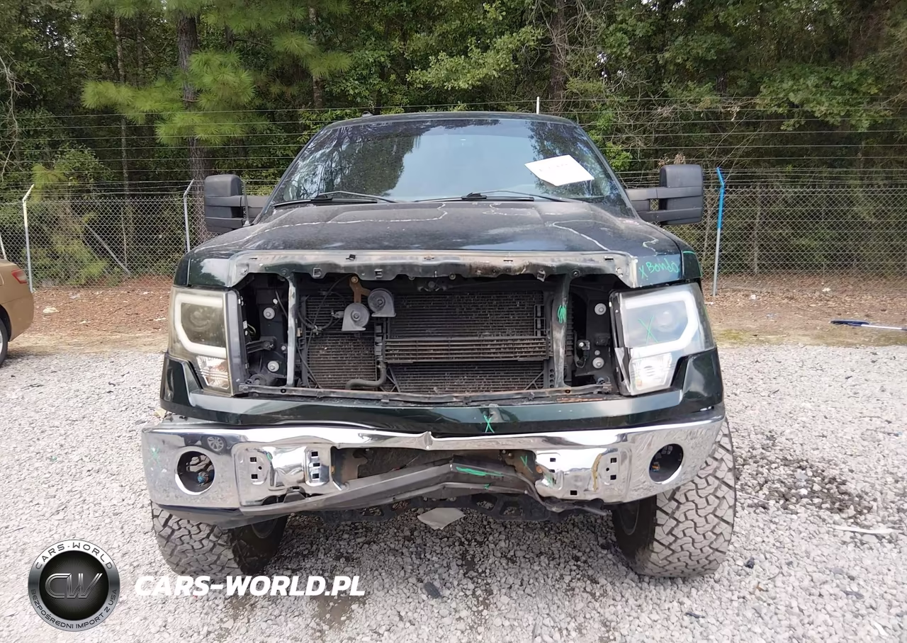 2013 Ford F-150 Xlt VIN:1FTEX1CM9DFD93974 - 13