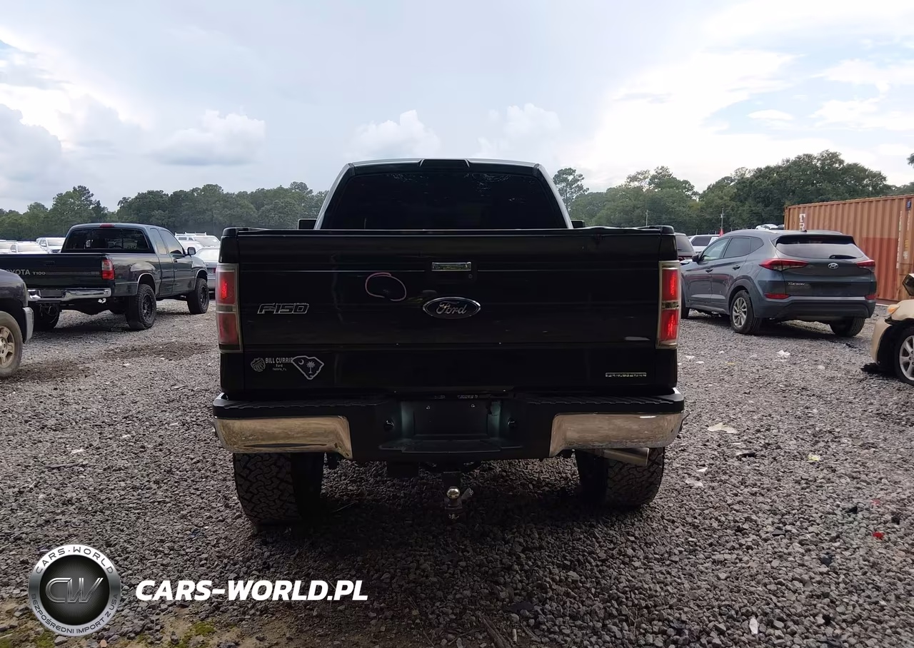 2013 Ford F-150 Xlt VIN:1FTEX1CM9DFD93974 - 17