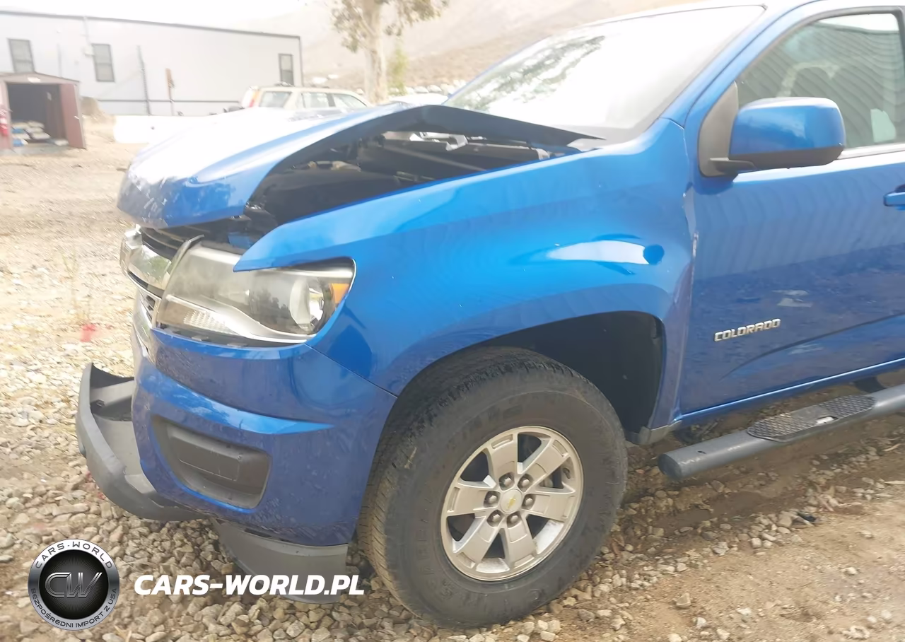 2019 Chevrolet Colorado Wt VIN:1GCGSBEN4K1255921 - 6
