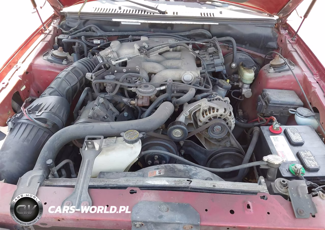 2004 Ford Mustang VIN:1FAFP44424F123348 - 10