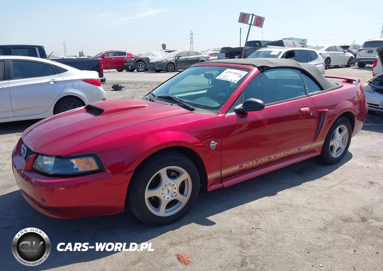 2004 Ford Mustang VIN:1FAFP44424F123348 - 2