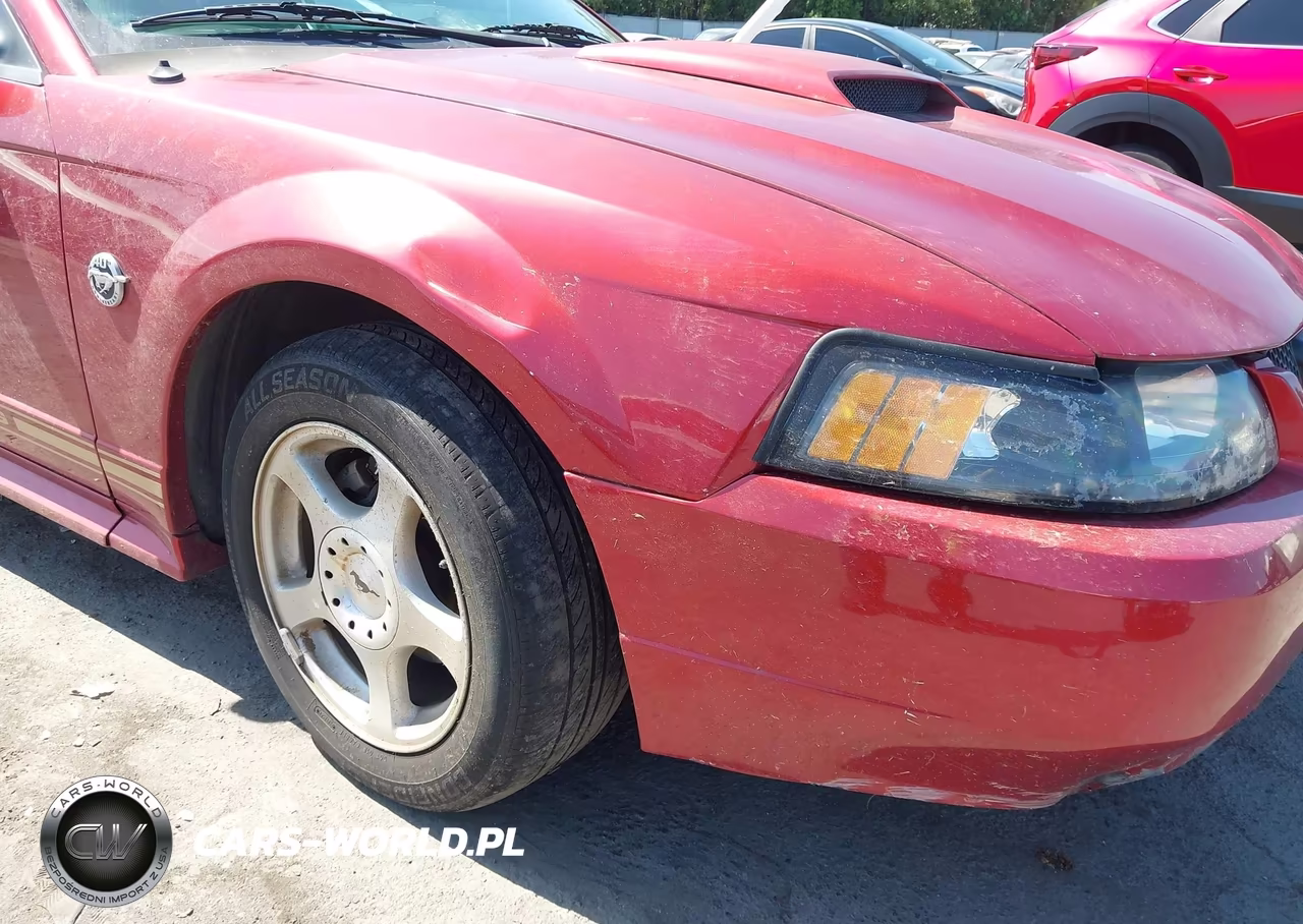 2004 Ford Mustang VIN:1FAFP44424F123348 - 6