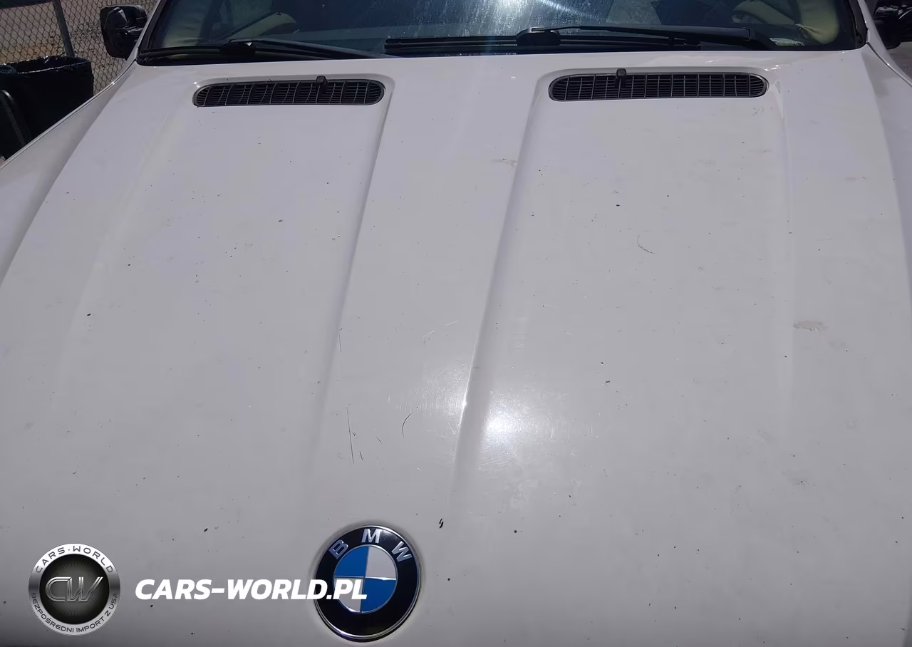 2003 BMW X5 3.0I VIN:5UXFA53543LV92239 - 10