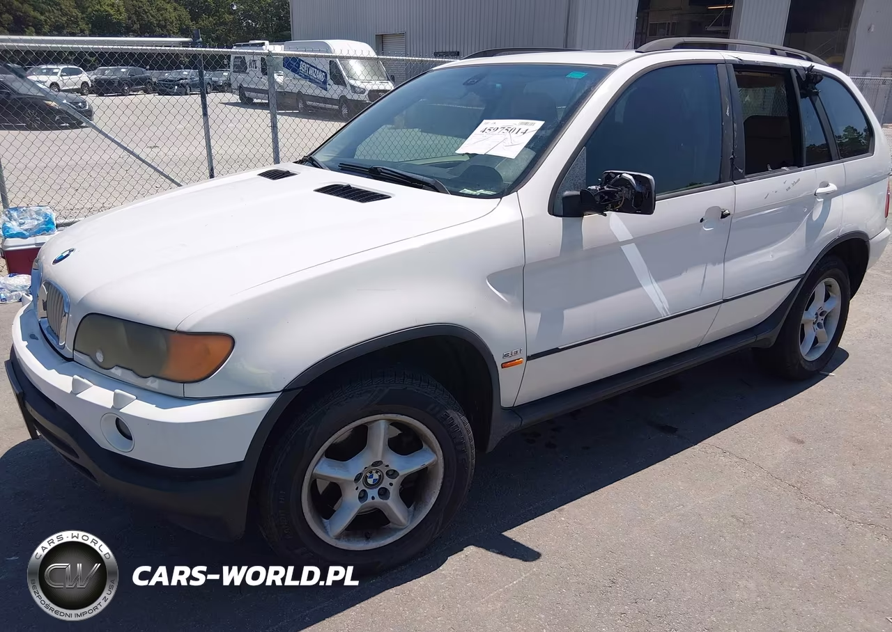2003 BMW X5 3.0I VIN:5UXFA53543LV92239 - 2