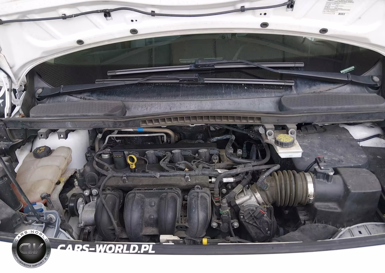 2018 Ford Transit Connect Xl VIN:NM0LS6E72J1376109 - 10