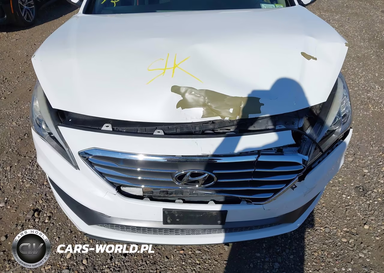 2016 Hyundai Sonata Sport VIN:5NPE34AF4GH287539 - 10