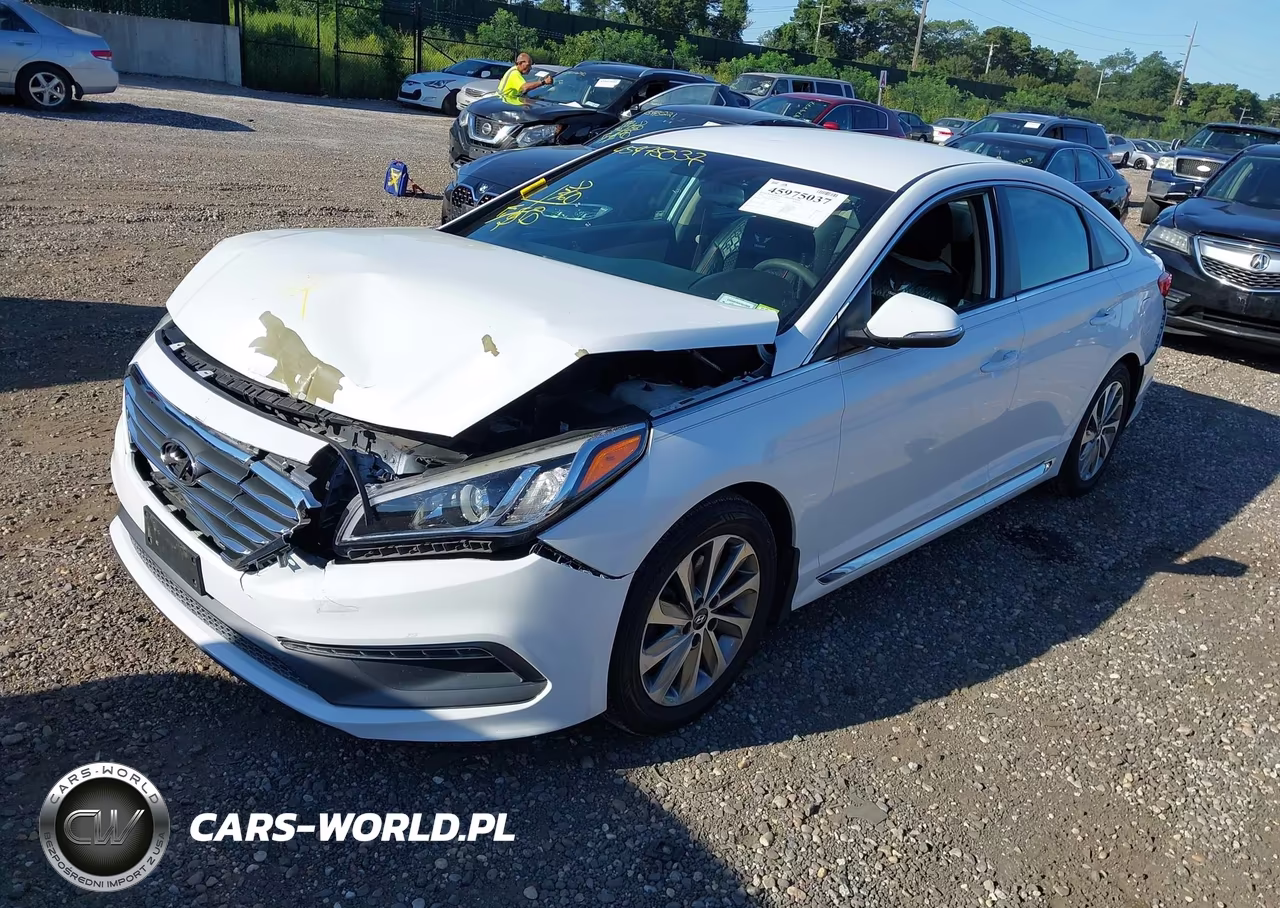 2016 Hyundai Sonata Sport VIN:5NPE34AF4GH287539 - 2