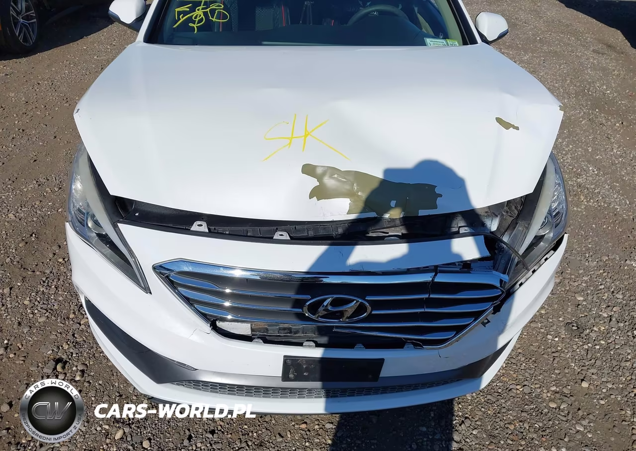 2016 Hyundai Sonata Sport VIN:5NPE34AF4GH287539 - 6