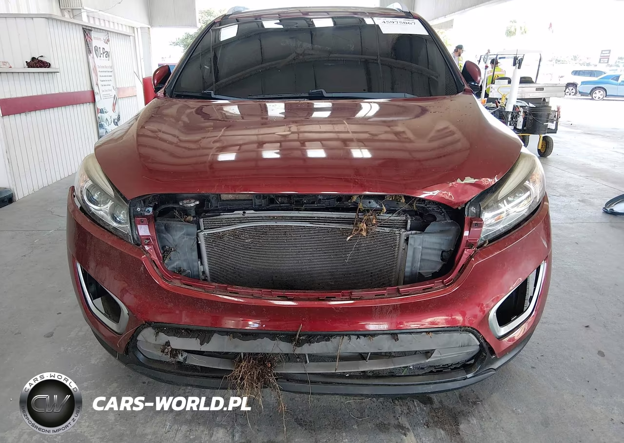 2018 Kia Sorento 2.4L Lx VIN:5XYPG4A31JG381301 - 12