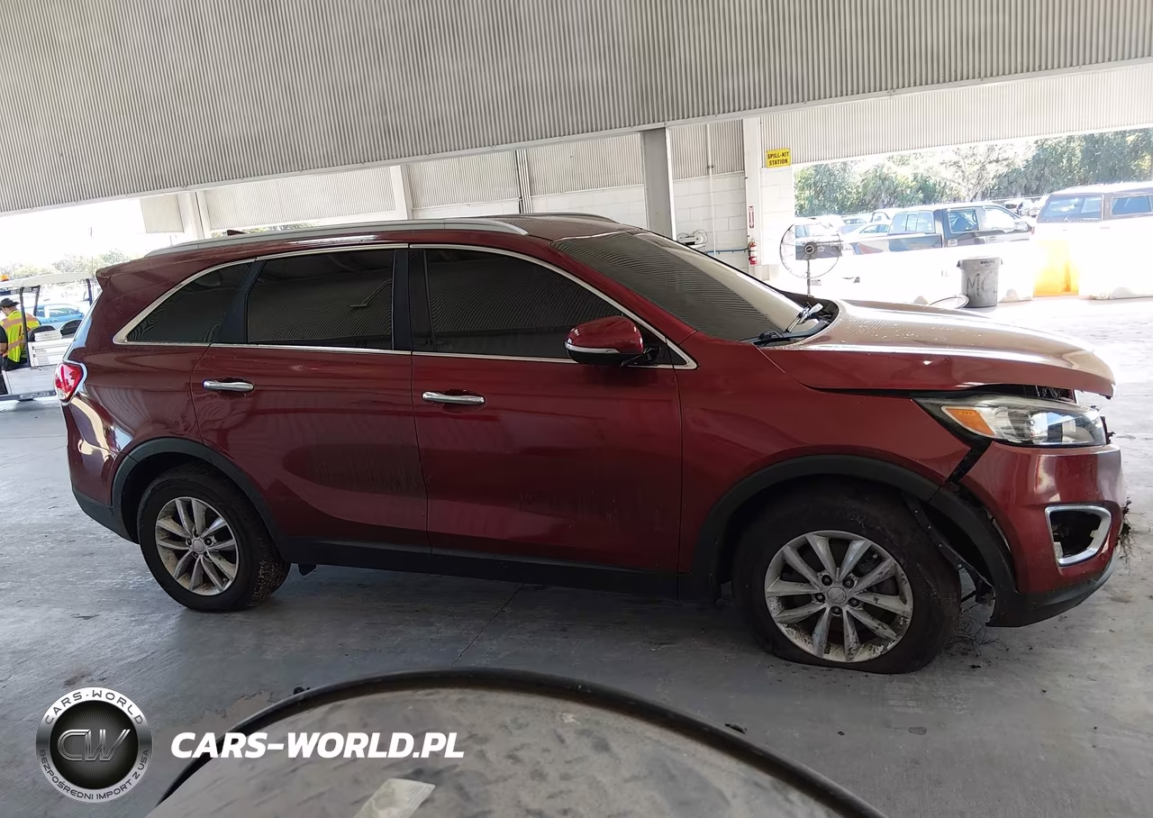 2018 Kia Sorento 2.4L Lx VIN:5XYPG4A31JG381301 - 13