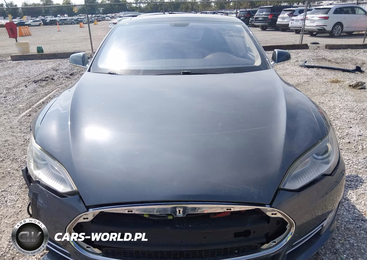 2013 Tesla Model S Performance VIN:5YJSA1CPXDFP13564 - 10