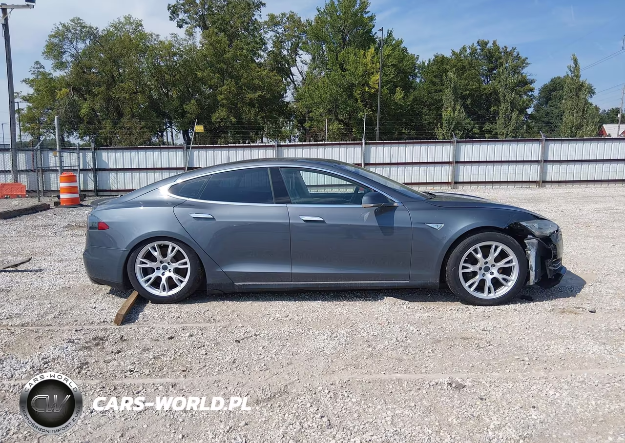2013 Tesla Model S Performance VIN:5YJSA1CPXDFP13564 - 12
