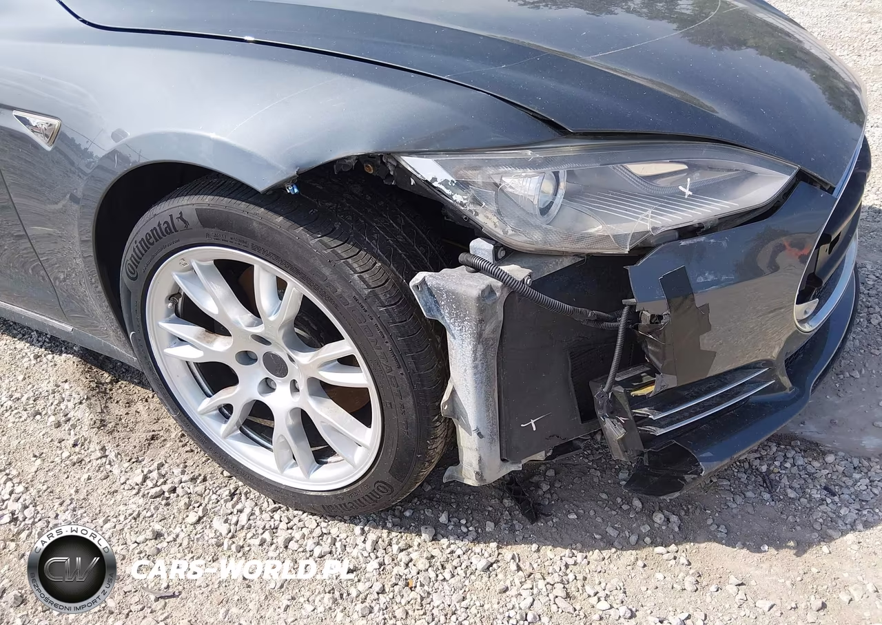2013 Tesla Model S Performance VIN:5YJSA1CPXDFP13564 - 6
