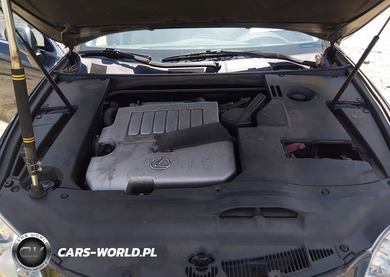 2009 Lexus Es 350 VIN:JTHBJ46G692299690 - 10