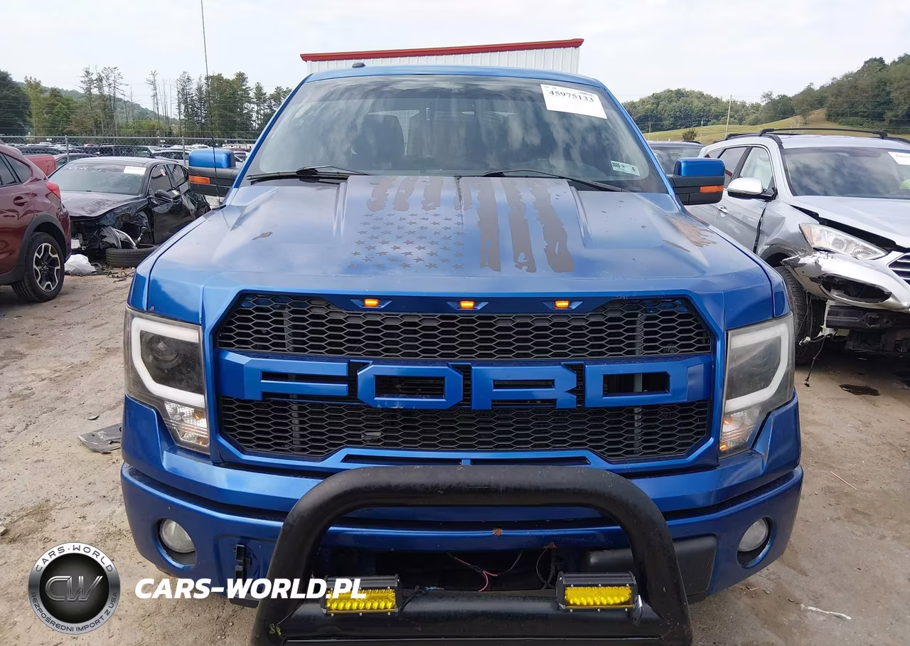 2013 Ford F-150 Fx4 VIN:1FTFW1ET4DFA24807 - 12