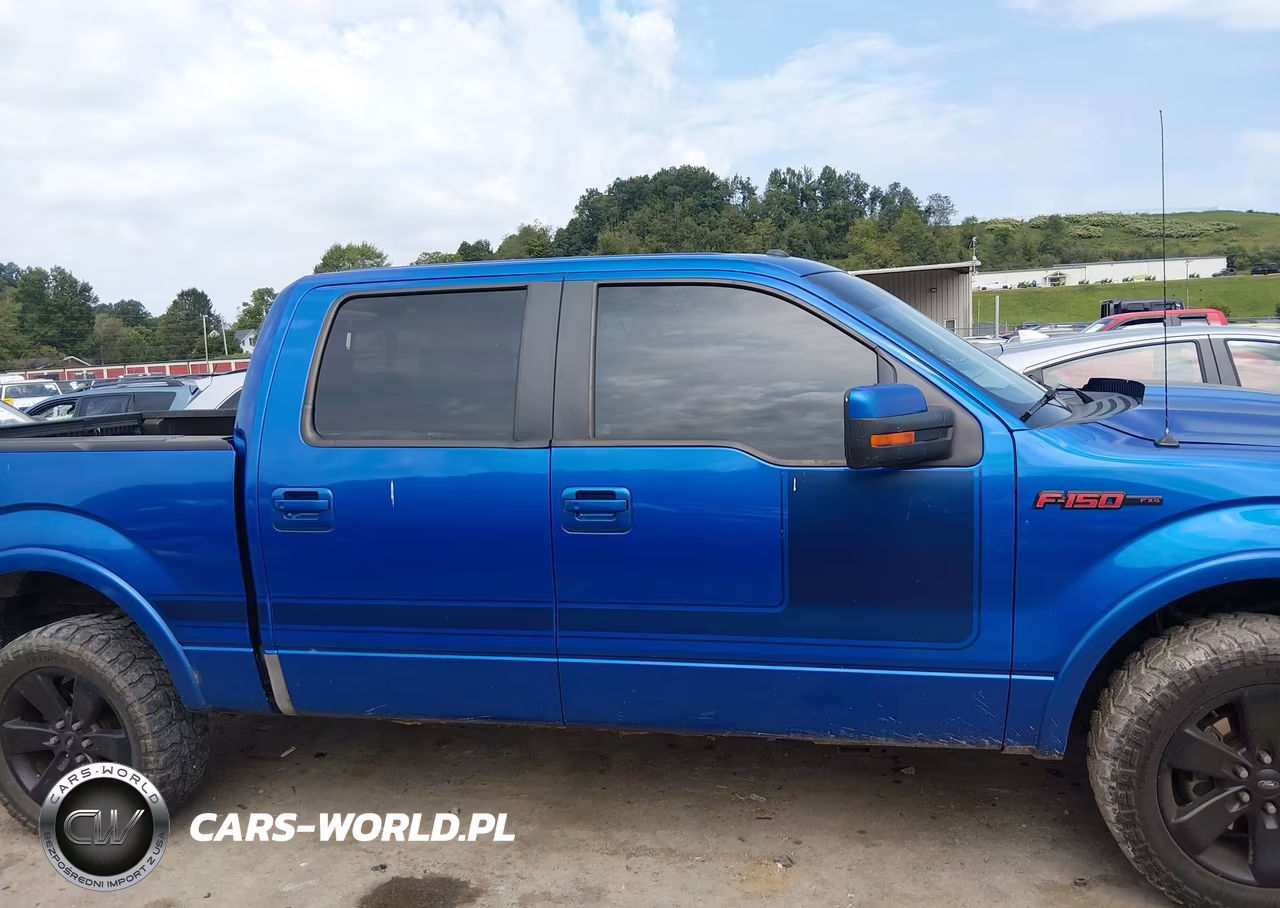 2013 Ford F-150 Fx4 VIN:1FTFW1ET4DFA24807 - 13