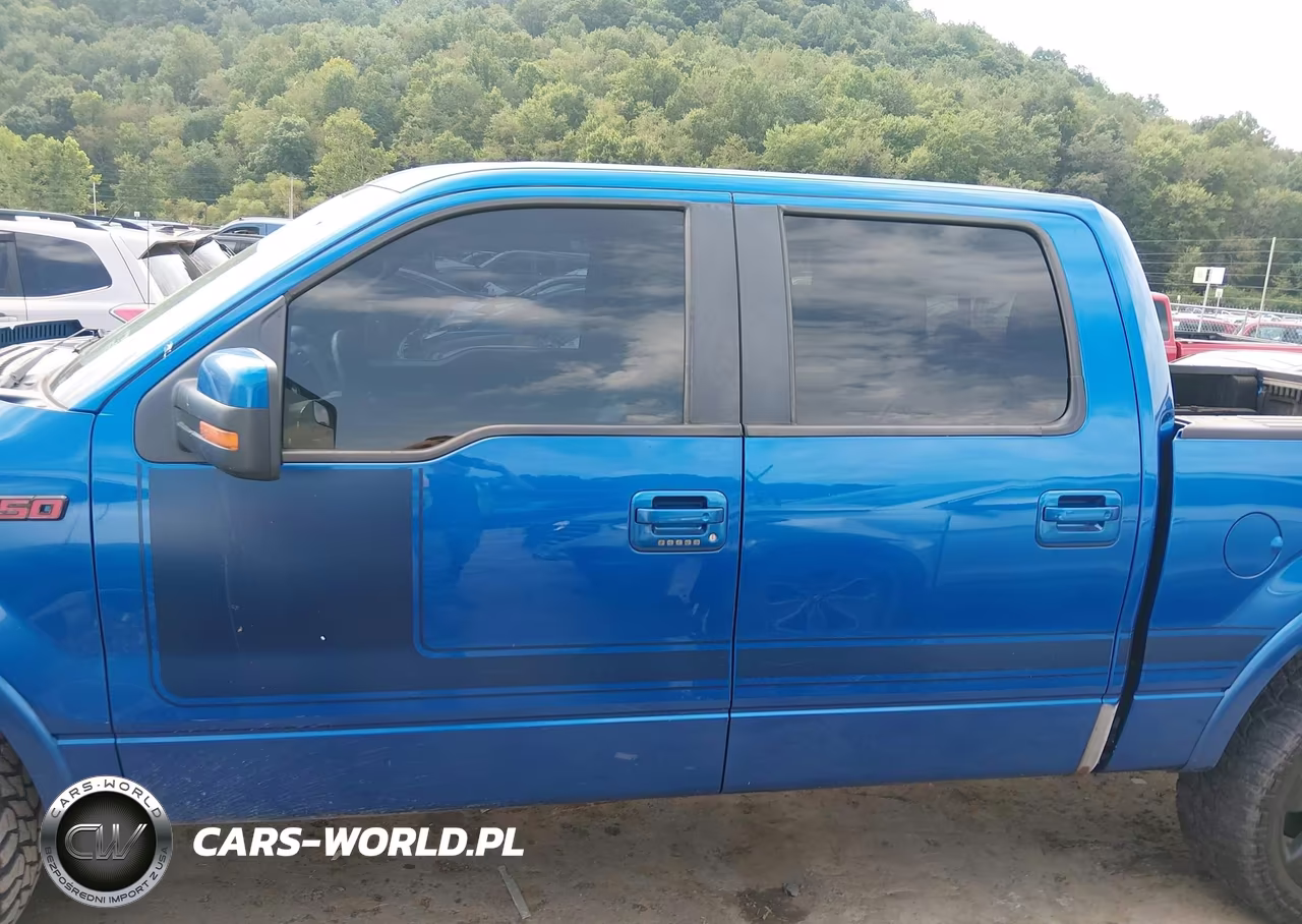2013 Ford F-150 Fx4 VIN:1FTFW1ET4DFA24807 - 14