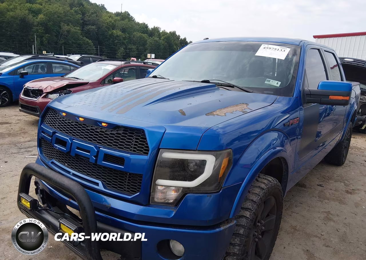 2013 Ford F-150 Fx4 VIN:1FTFW1ET4DFA24807 - 2