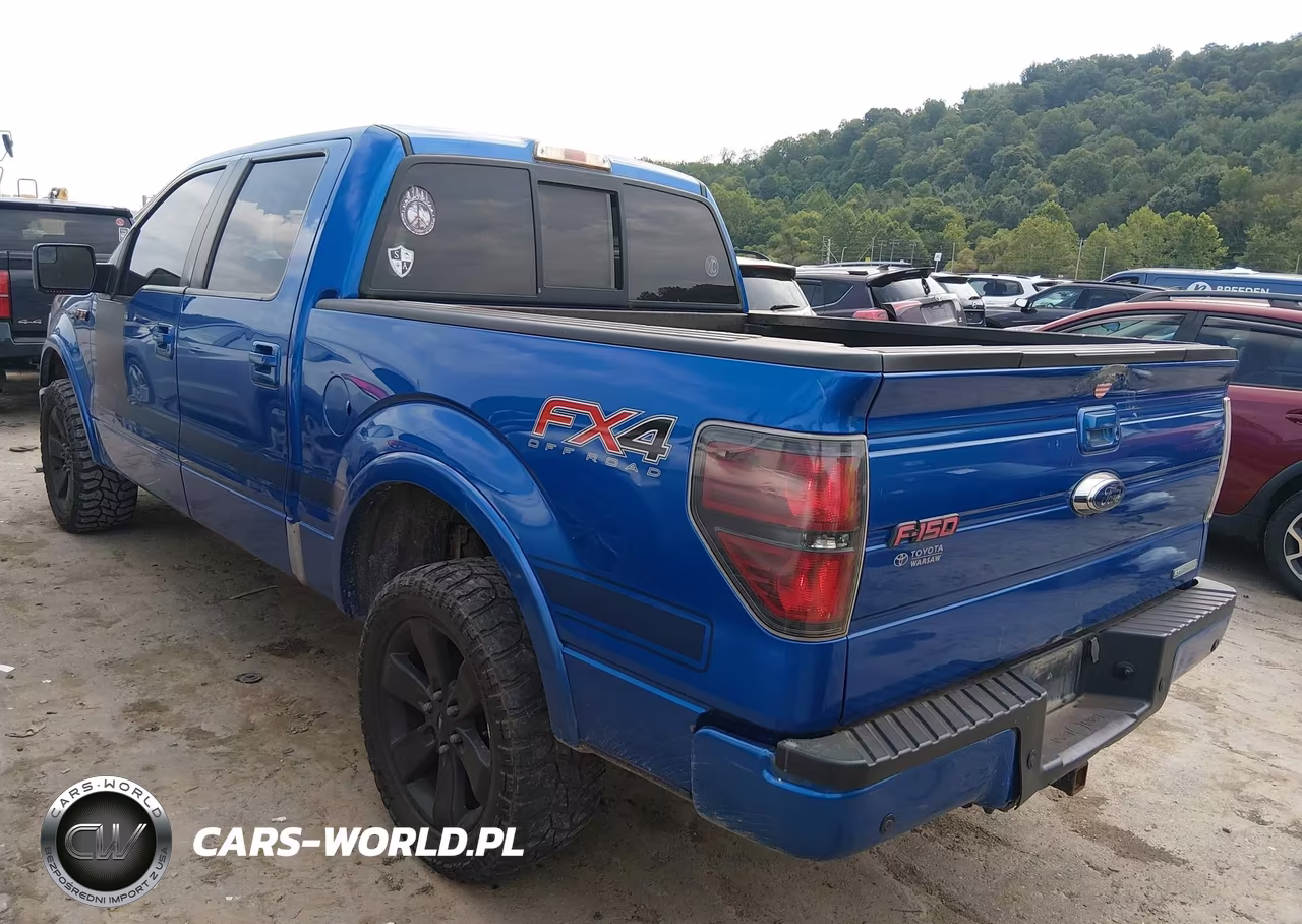 2013 Ford F-150 Fx4 VIN:1FTFW1ET4DFA24807 - 3
