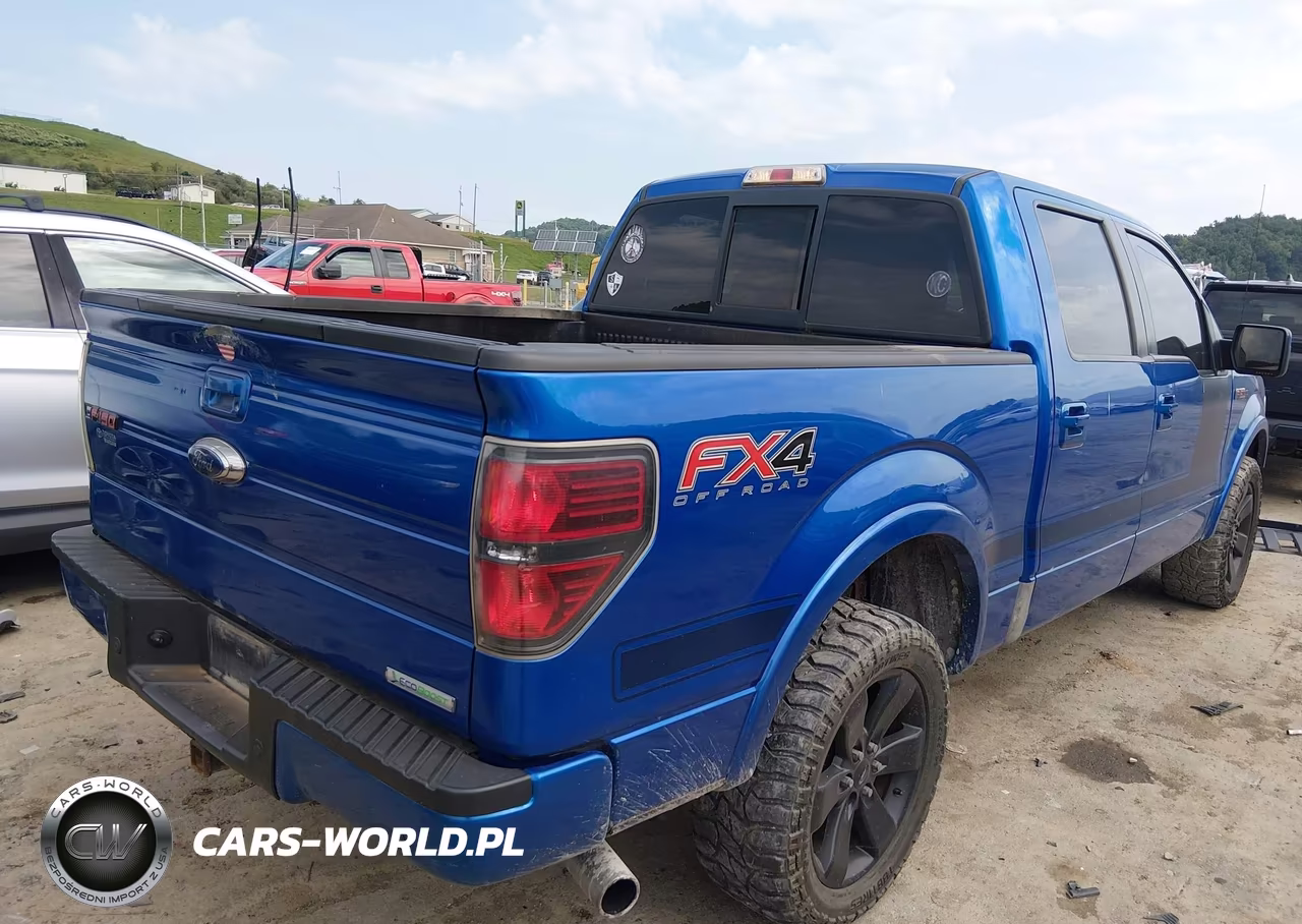 2013 Ford F-150 Fx4 VIN:1FTFW1ET4DFA24807 - 4