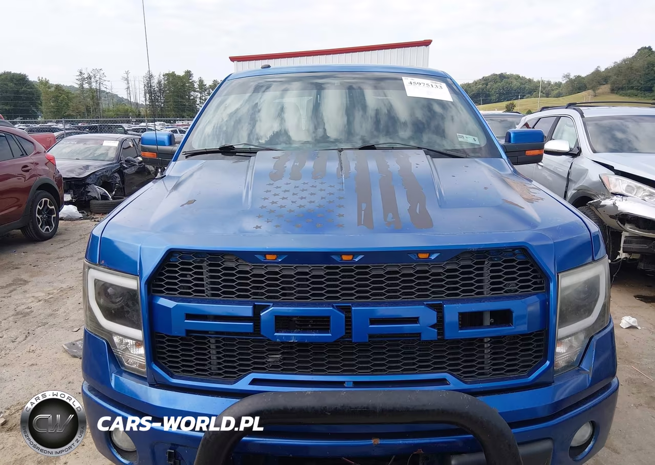 2013 Ford F-150 Fx4 VIN:1FTFW1ET4DFA24807 - 6