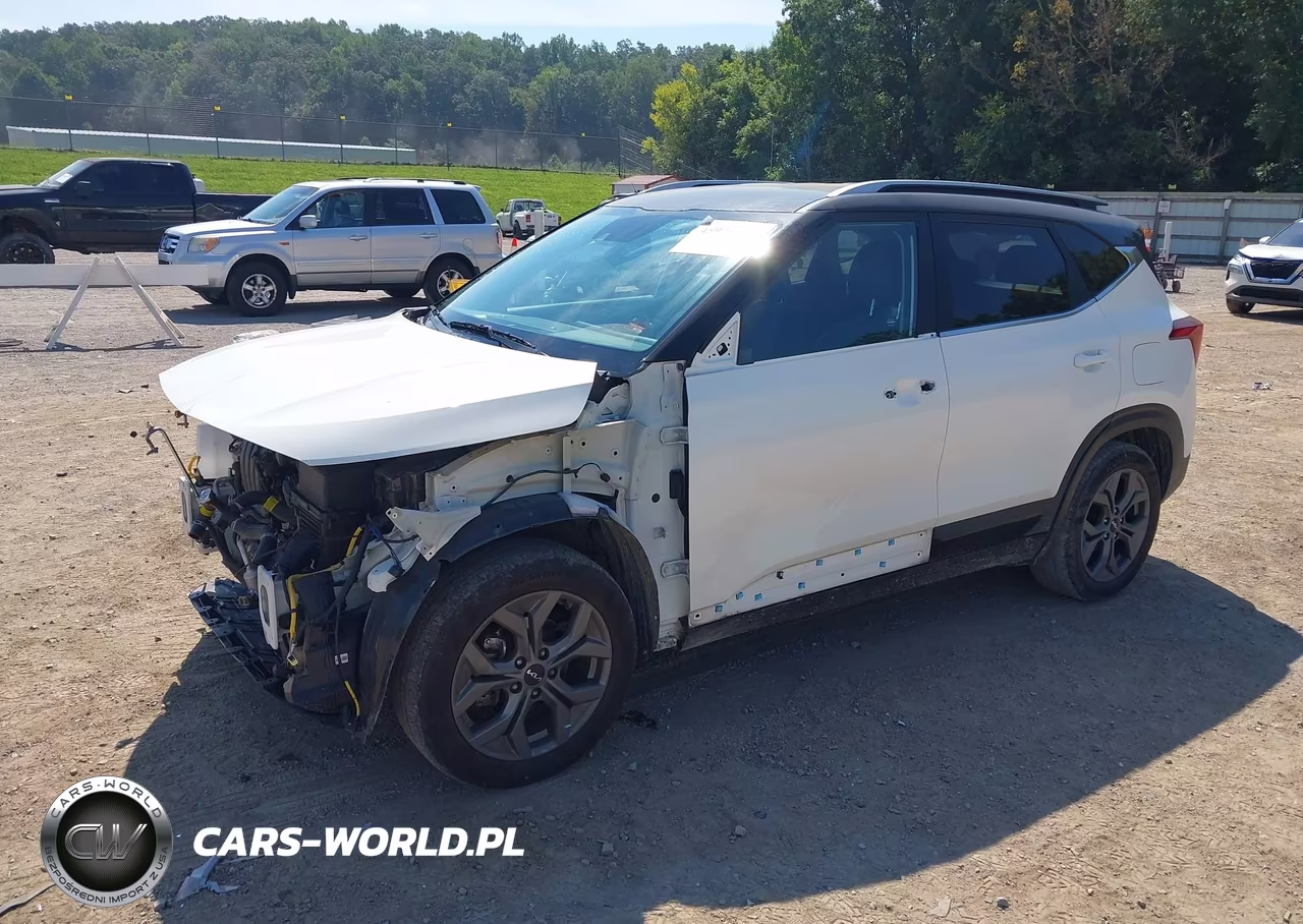 2024 Kia Seltos S VIN:KNDEU2AA8R7665858 - 2