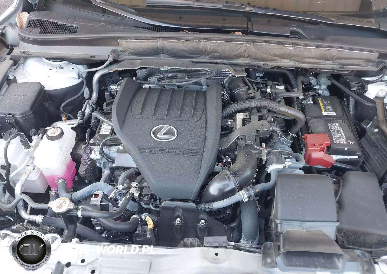2023 Lexus Rx 350 Premium Plus VIN:2T2BAMBA1PC002533 - 10